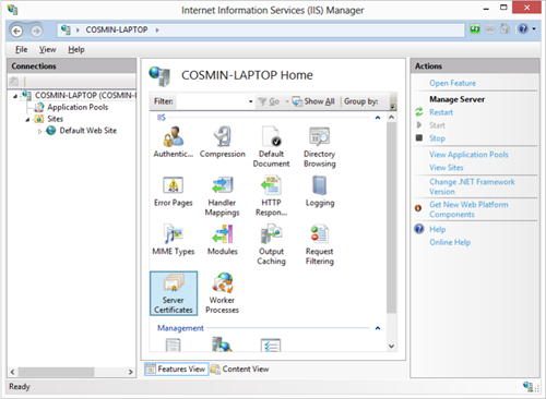 IIS Manager Server Certificates